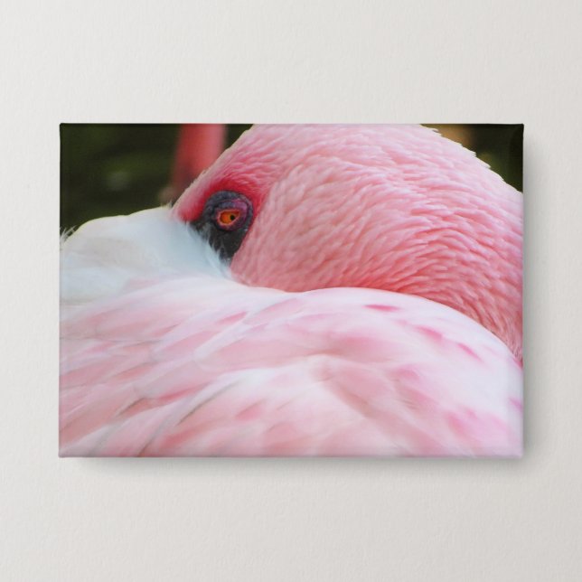 Chapa Flamingo (Anverso)