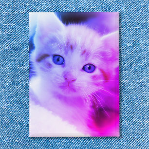 Chapa Foto de gato familiar con ombre azul rosa