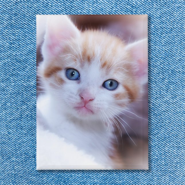 Chapa Foto de retrato vertical de gato familiar (Family Cat Vertical Portrait Photo Button)