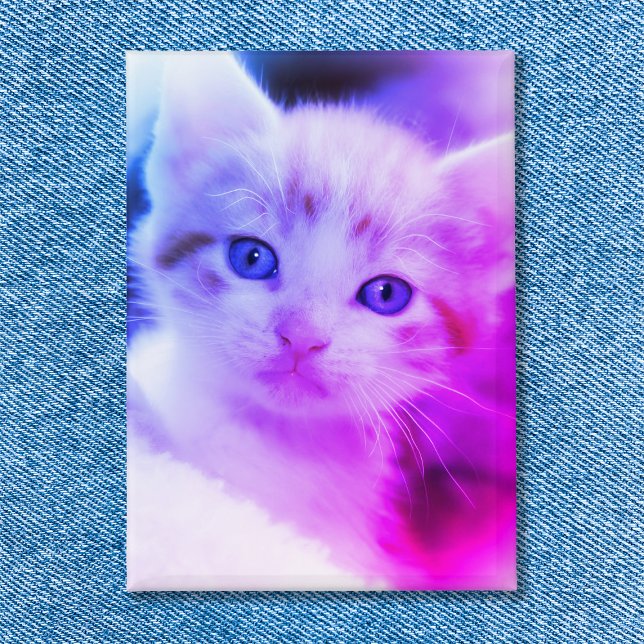 Chapa Foto familiar Ombre rosa azul (Family Cat Photo Blue Pink Ombre Button)