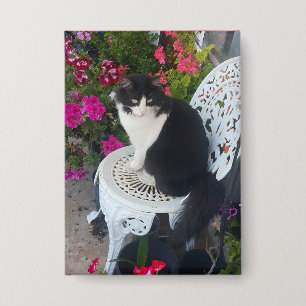 Chapa Gato esmoquin lindo con flores bonitas Gatos negro