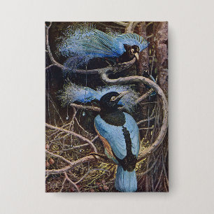 Chapa Ilustración de Johnston Vintage Blue Bird Paradise