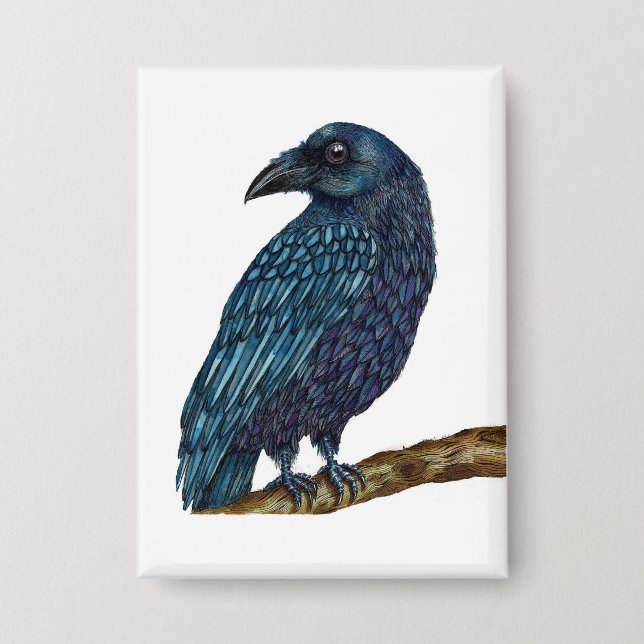 Chapa Insignia de pájaro de Blue Raven (Anverso)