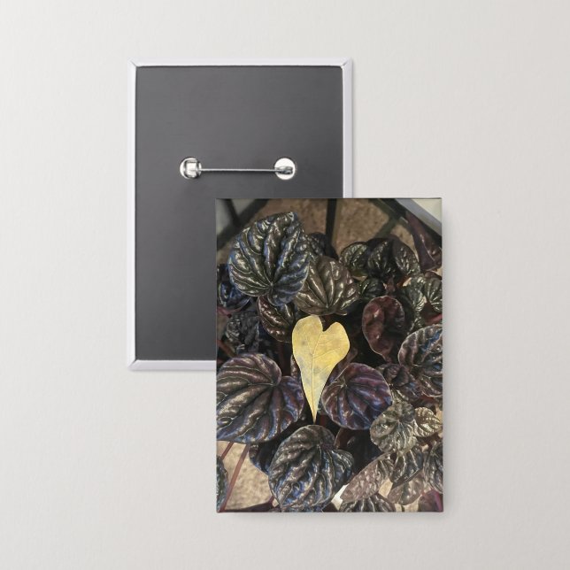 Chapa leafs (Anverso/Reverso)