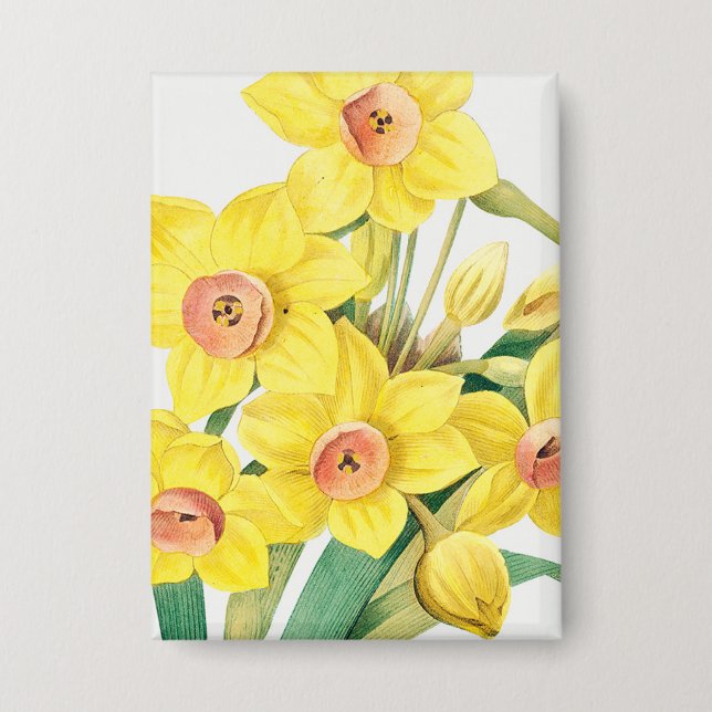 Chapa Lirio Sagrado Chino, Pierre-Joseph Redouté,  (Anverso)