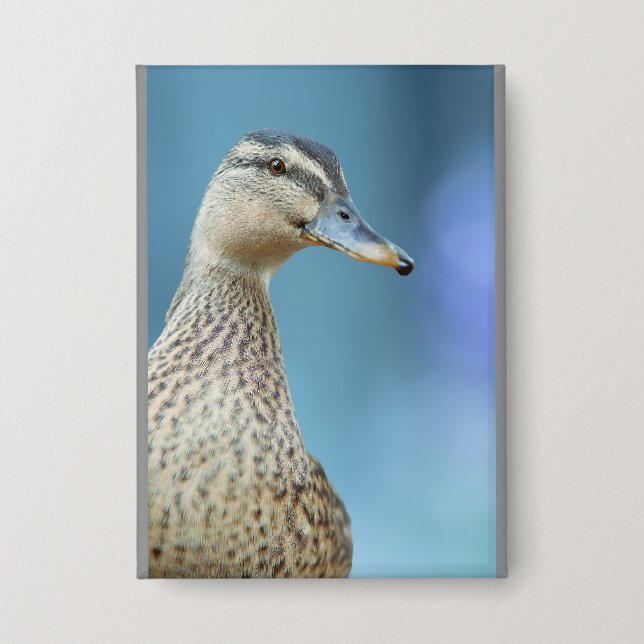 Chapa los patos (Anverso)