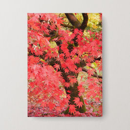 Chapa Maple Tree Badge