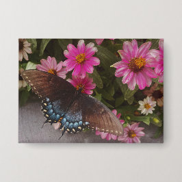 Chapa mariposa azul