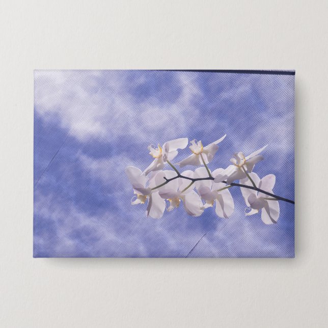 Chapa Orquídea polilla (Anverso)