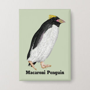 Chapa Palaeeudyptes Extinct Penguin