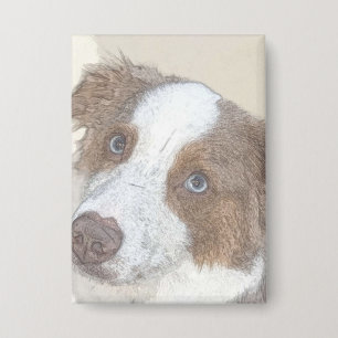 Chapa Perro, descanso, Mascota