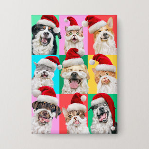 Chapa Perros y Gatos con Barba de Santa