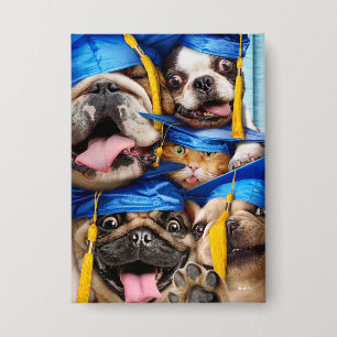 Chapa Perros y gatos graduados en cabina de fotos