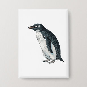 Chapa Pingüino