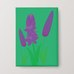 Chapa Plantas de lavanda