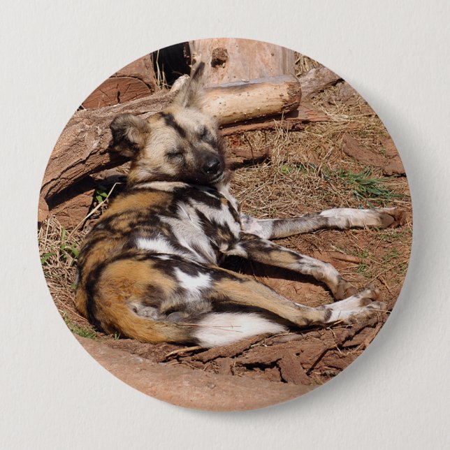 Chapa Redonda De 10 Cm african-wild-dog-018 (Anverso)