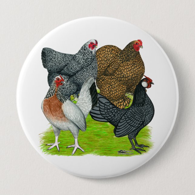 Chapa Redonda De 10 Cm Bantam Hen Quartet (Anverso)