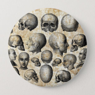 Chapa Redonda De 10 Cm Calaveras humanas Anatomía Arte de ciencia vintage