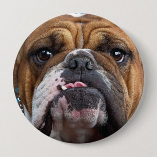 Chapa Redonda De 10 Cm Cojín decorativo de Bulldog inglés