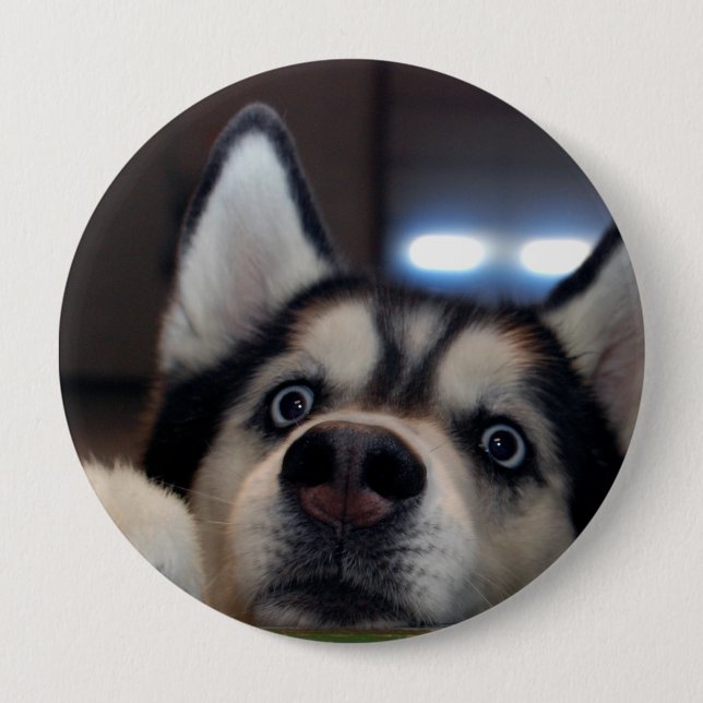 Chapa Redonda De 10 Cm ¿Cualquiera hacia fuera allí? (Anverso)