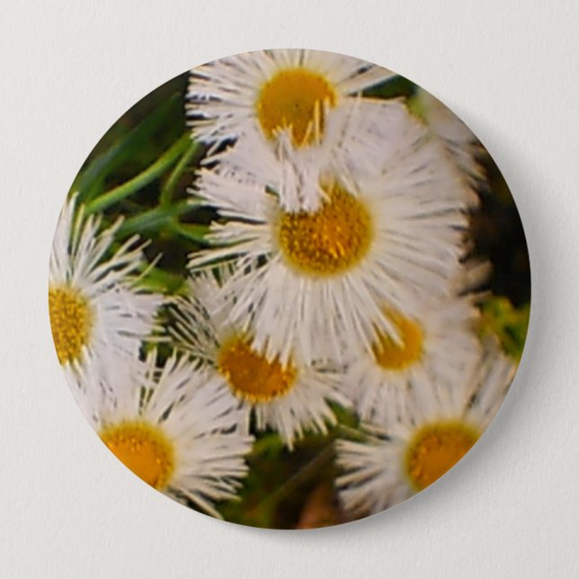Chapa Redonda De 10 Cm Daisies (Anverso)