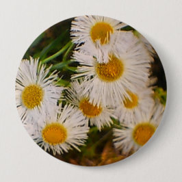 Chapa Redonda De 10 Cm Daisy