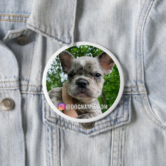 CHAPA REDONDA DE 10 CM DOM EL PIN DE INSTAGRAM DEL PERRO