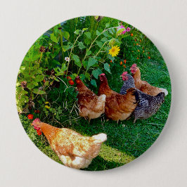 Chapa Redonda De 10 Cm Fotos de gallinas flores vida de granja