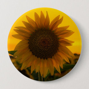 Chapa Redonda De 10 Cm Girasol 🌻 