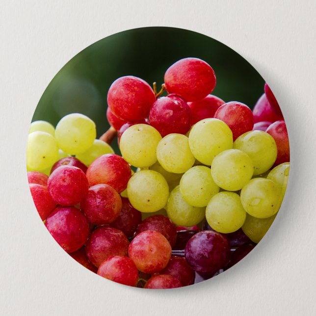 CHAPA REDONDA DE 10 CM GRAPES FELICES (Anverso)