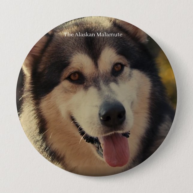 Chapa Redonda De 10 Cm Insignia (Anverso)