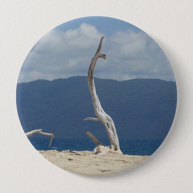 Chapa Redonda De 10 Cm Islas Frankland - Insignia de Australia (Anverso)