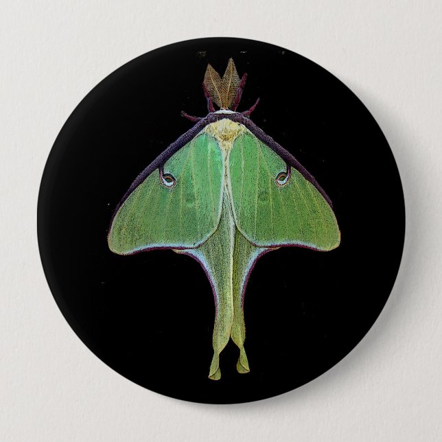 Chapa Redonda De 10 Cm Luna Moth (Anverso)