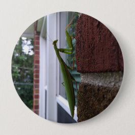 Chapa Redonda De 10 Cm Mantis religiosa en pared de ladrillo