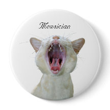 Mewsiciano