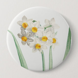 Chapa Redonda De 10 Cm Narciso, Pierre-Joseph Redouté, 1805