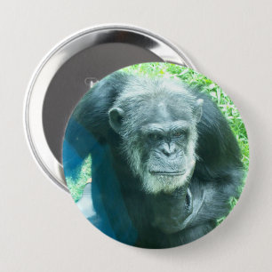 Chapa Redonda De 10 Cm Pensamiento de los chimpancés