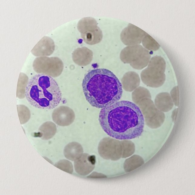 Chapa Redonda De 10 Cm rbcs wbcs laboratorio de diapositivas microscopía  (Anverso)