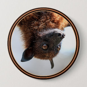 Chapa Redonda De 10 Cm Zorro volador