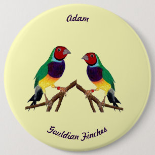 Chapa Redonda De 15 Cm ADAM ~ Gouldian Finch ~ Personalizado ~ ~