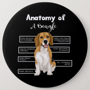 Chapa Redonda De 15 Cm Anatomía De Un Beagle Gracioso Perro Amantes Regal