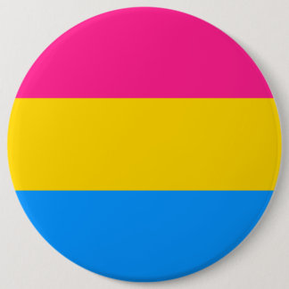 Chapa Redonda De 15 Cm Bandera Pansexual