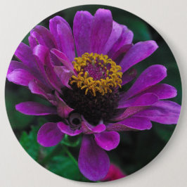 Chapa Redonda De 15 Cm Belleza Regia