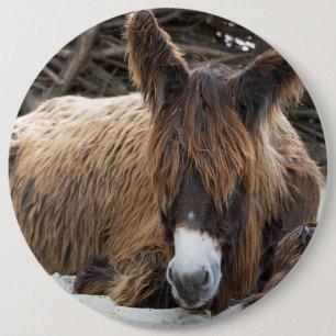 Chapa Redonda De 15 Cm Brown Poitou Donkey