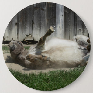 Chapa Redonda De 15 Cm Burro de baño de arena