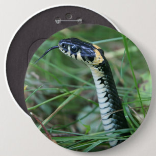 Chapa Redonda De 15 Cm Cabeza de serpiente