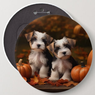 Chapa Redonda De 15 Cm Cachorro Biewer Terrier Otoño Delicia Calabaza