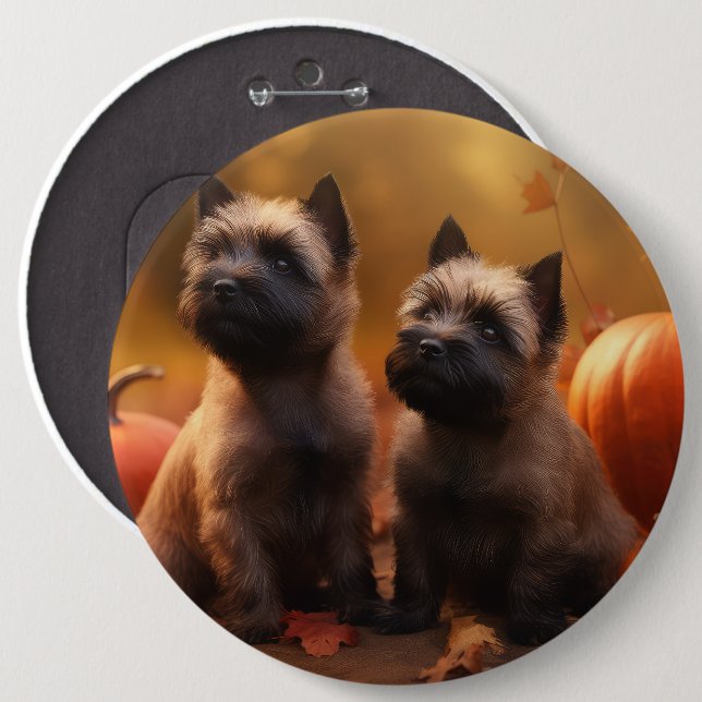 Chapa Redonda De 15 Cm Calabaza deslumbrante de Cairn Terrier (Anverso y reverso)