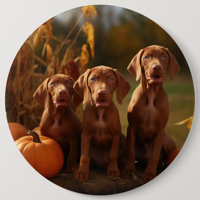 Chapa Redonda De 15 Cm Calabaza deslumbrante de Vizsla Puppy Autumn (Anverso)