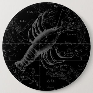 Chapa Redonda De 15 Cm Cancer Constellation Hevelius 1690 Decor